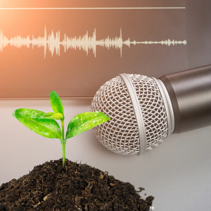 microphone pointing to plant