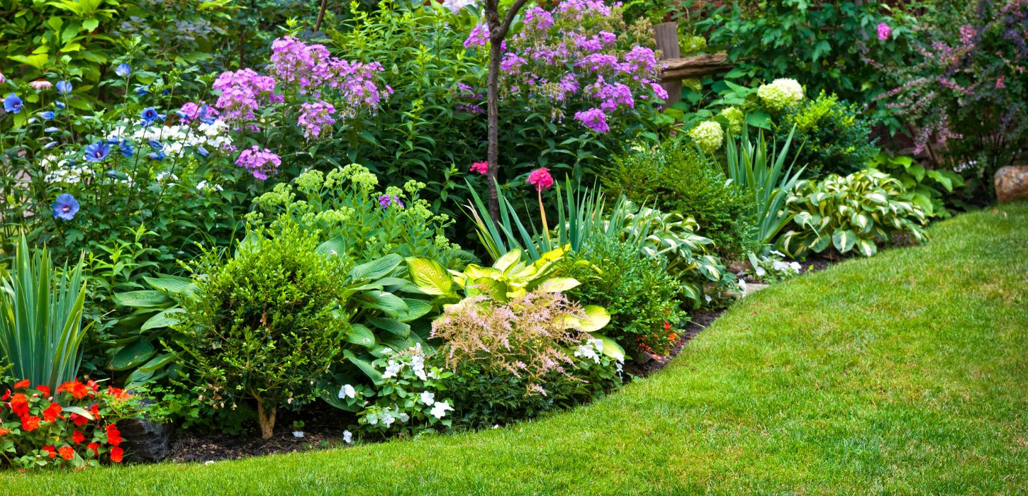 A lush summer garden bed full of perennials