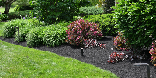 a clean, edged mulch bed with perennials and landscape lighting