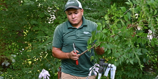 Wasson crew holding a trimmed tree branch and clippers