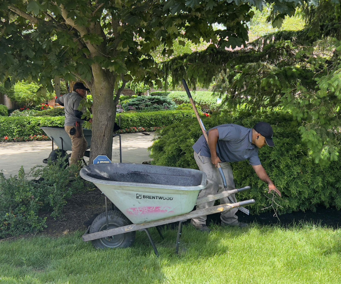 Wasson crew cleaning up and mulching garden beds on a job site