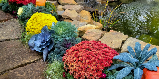 A bed of fall annuals and pumpkins beside a rock pond, installed by Wasson's seasonal color crew