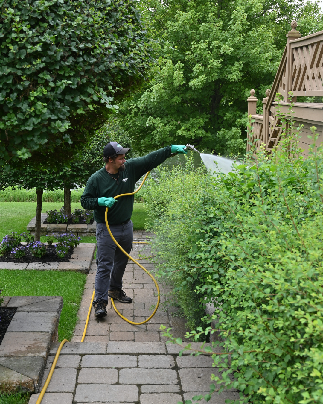 Wasson crew treating shrubs and trees