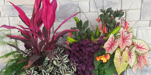 Summer porch pots