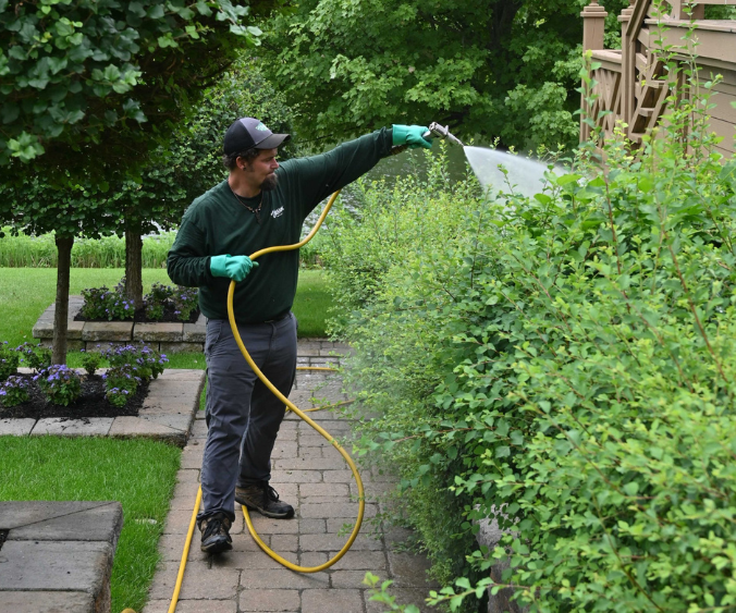 Wasson crew treating shrubs on a job site