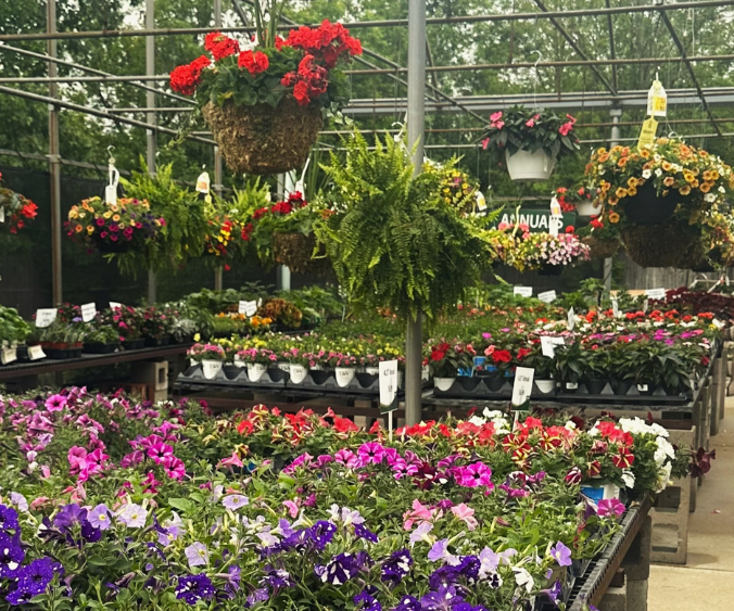 A photo of plants and hanging baskets at Wasson's Union City Garden Center