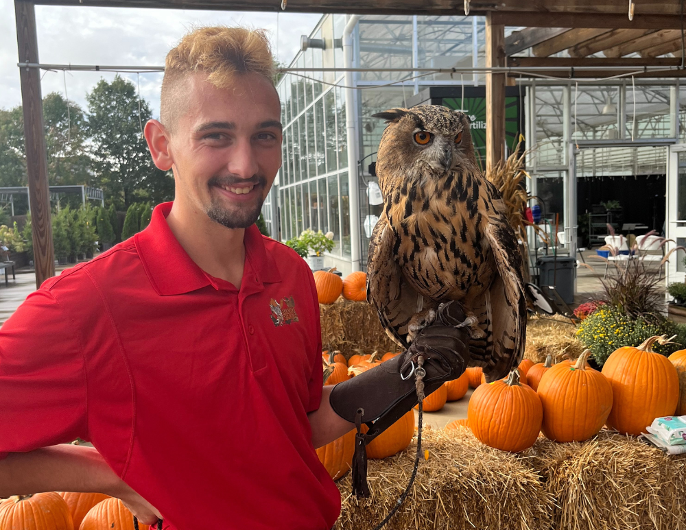 native indiana wild owl at wasson