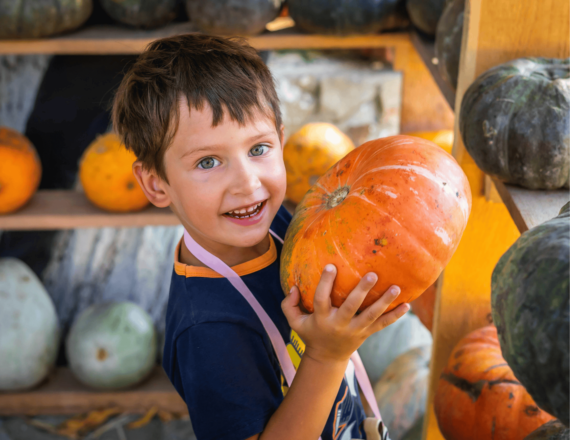 Child holding a pumpkin