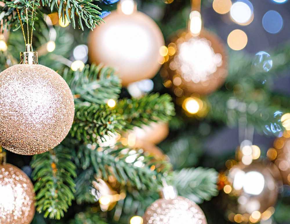 wasson annual holiday open house