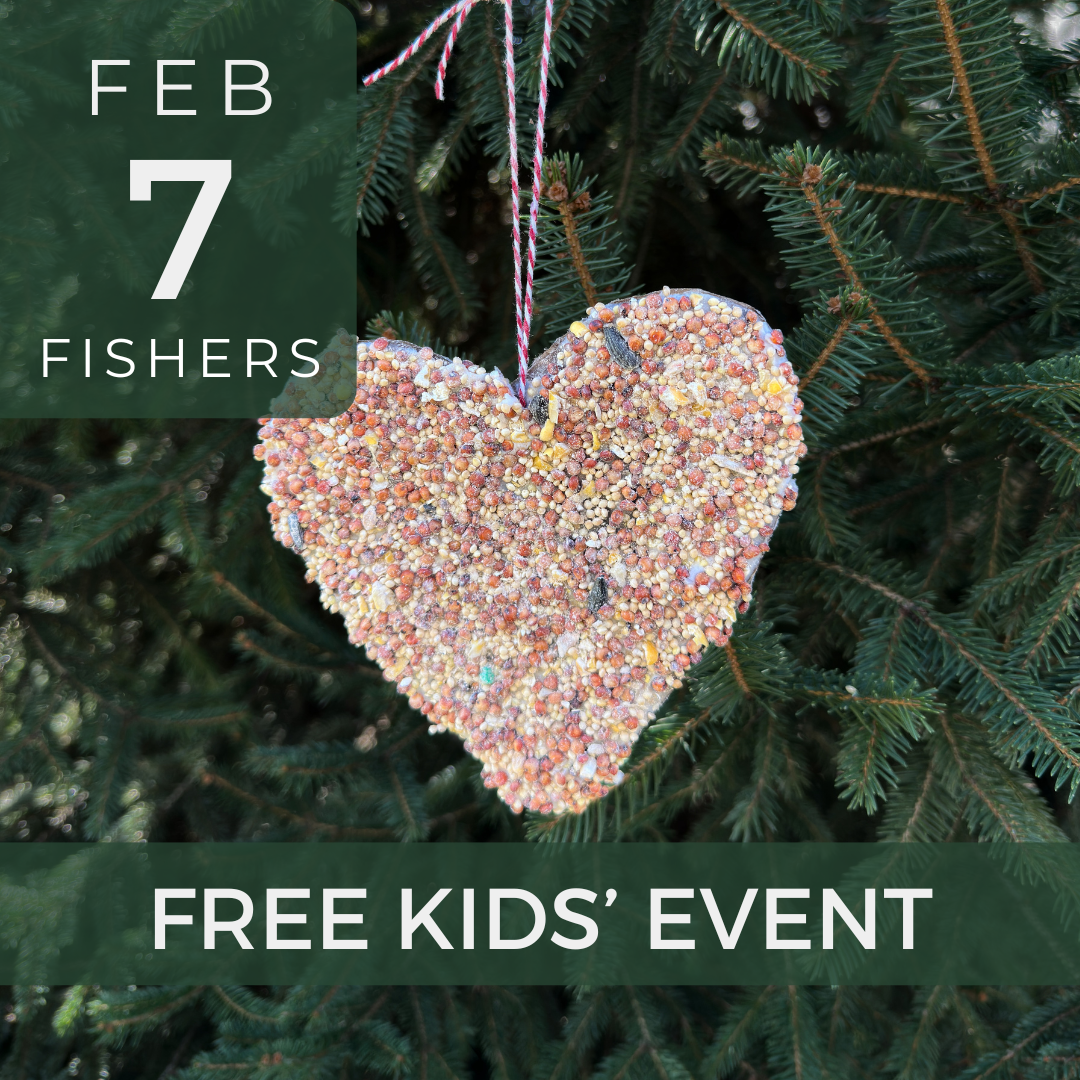 Free Kids' Event Poster for Bird Valentine