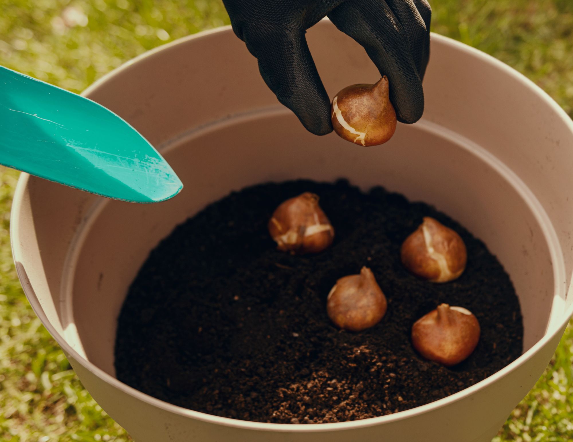 bulb lasagna method workshop at Wasson