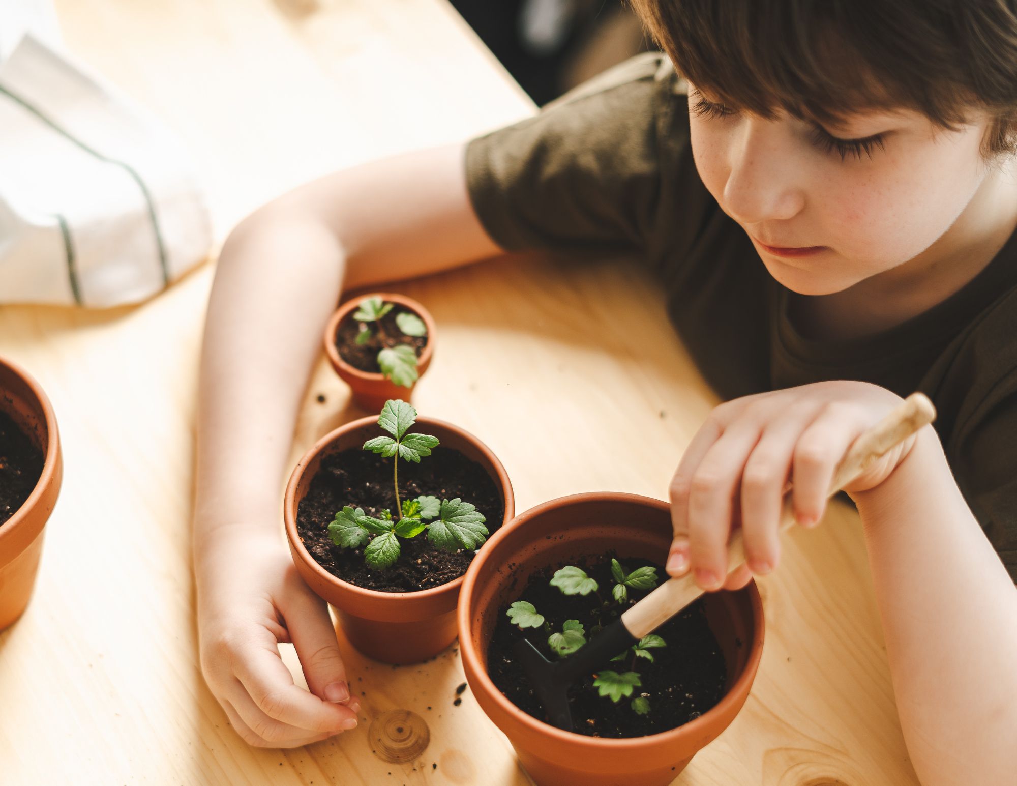 kids' free events and activities at wasson