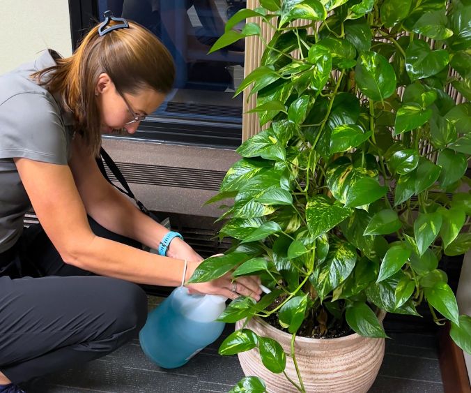 wasson seasonal color plant care for corporate