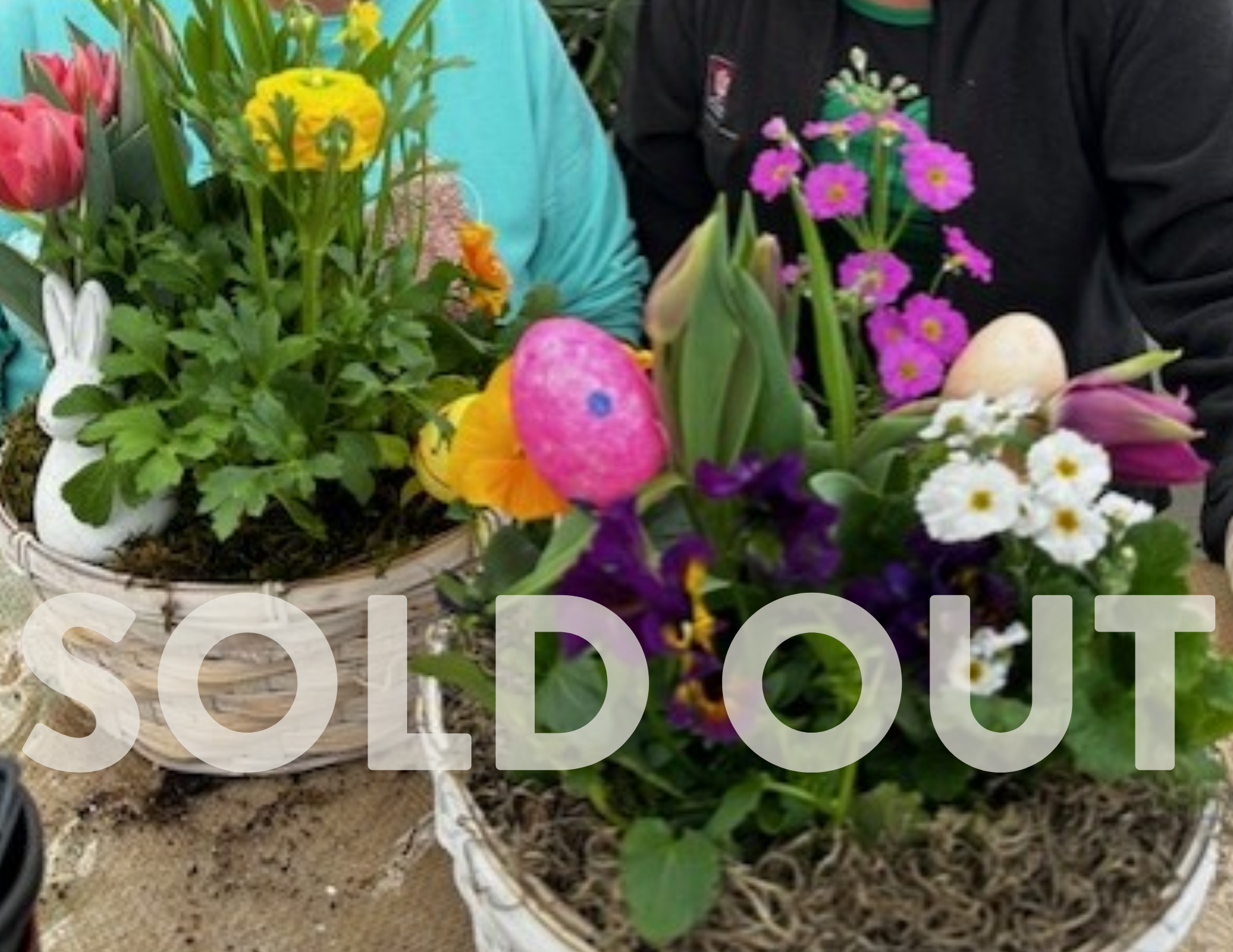 spring bulb planter workshop