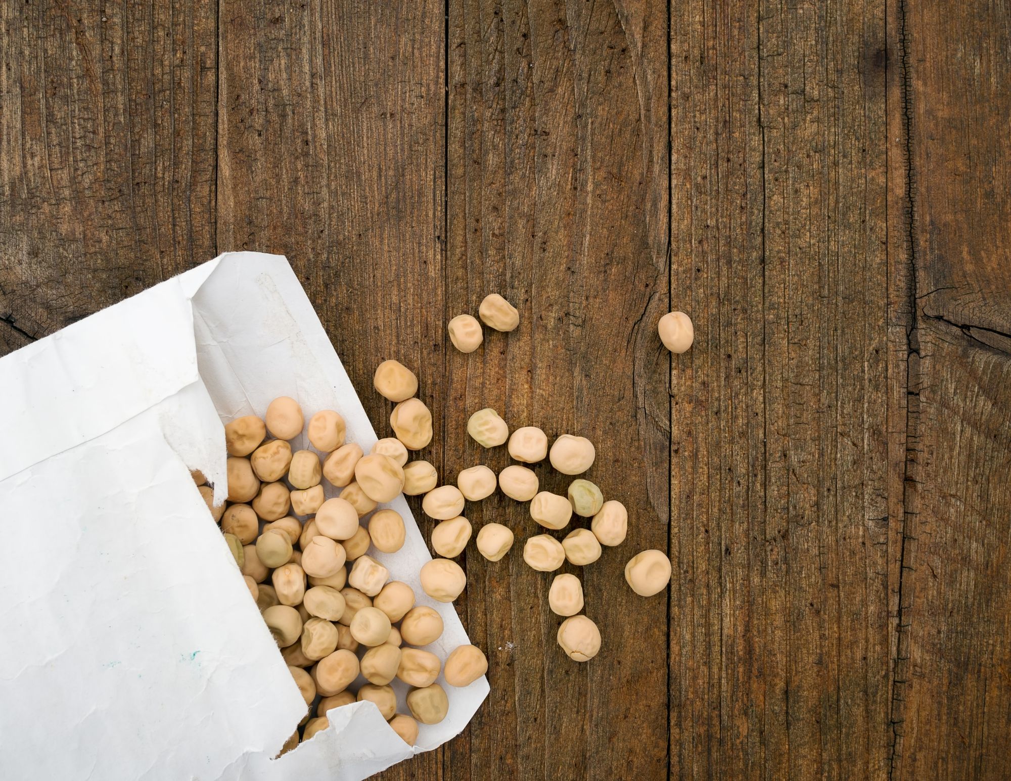 free winter seed sowing workshop at Wasson in fishers