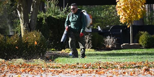 leaf clean up crew