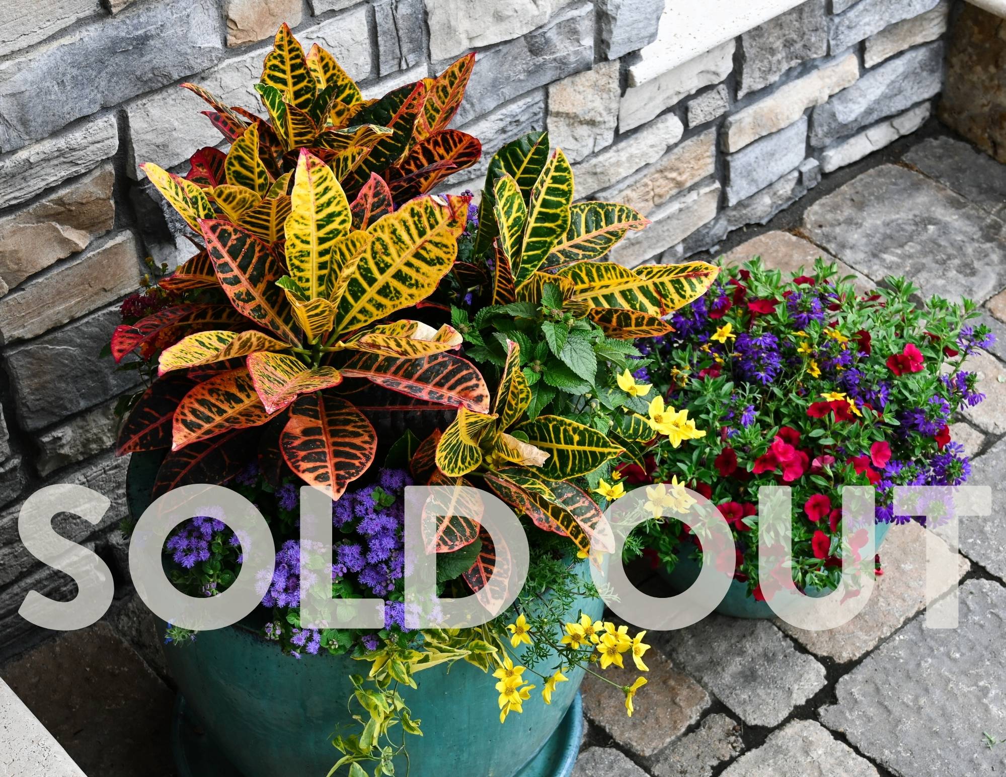 summer porch pot workshops in muncie and fishers