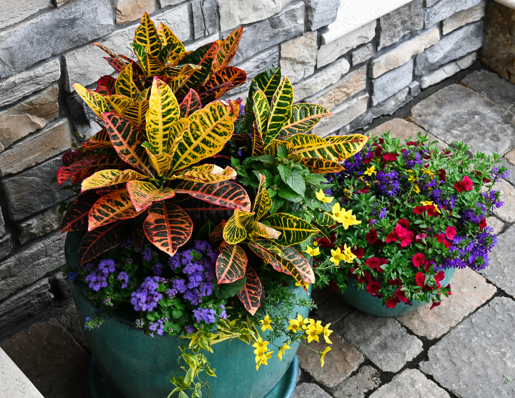 Porch Pots in Summer