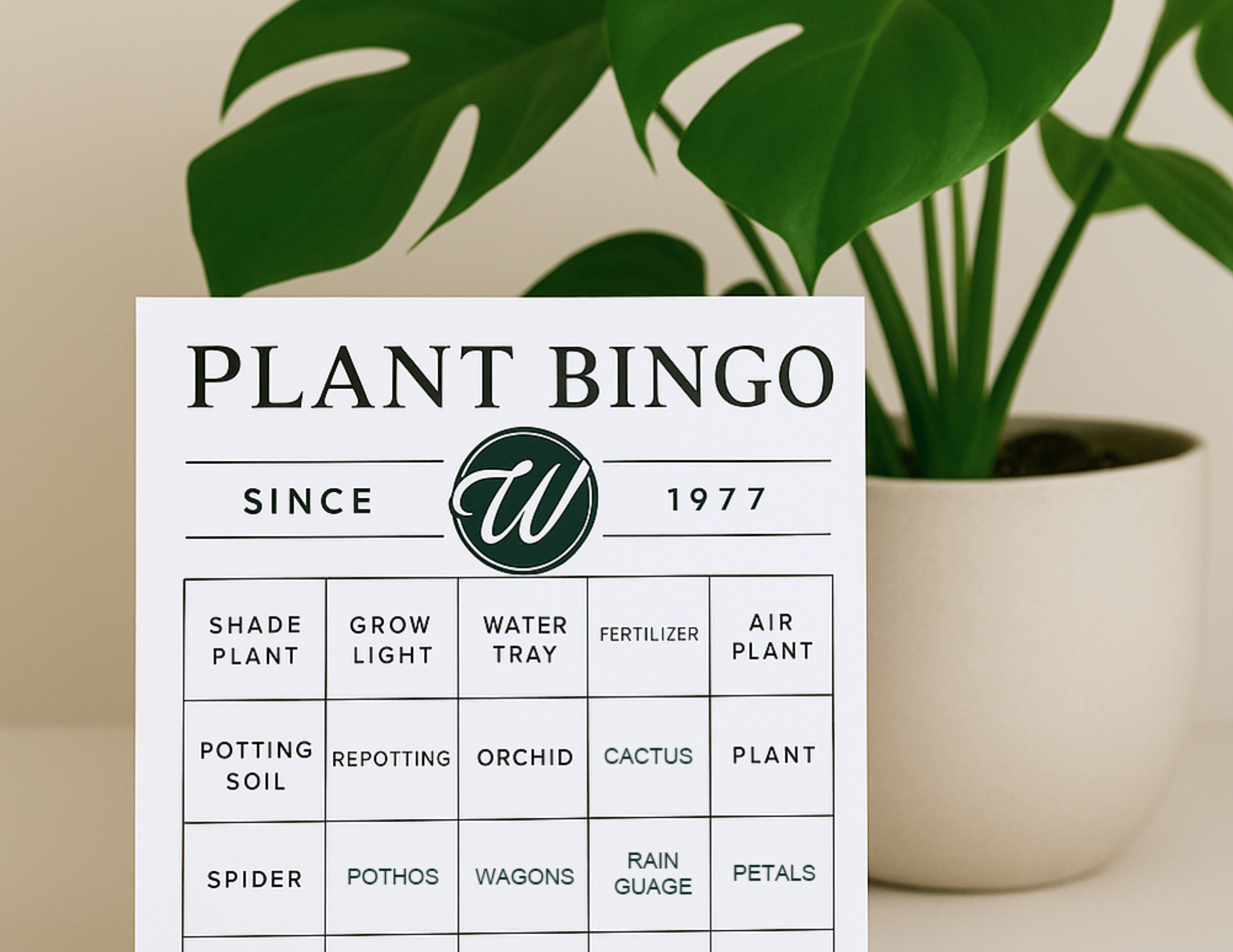 plant bingo at wasson