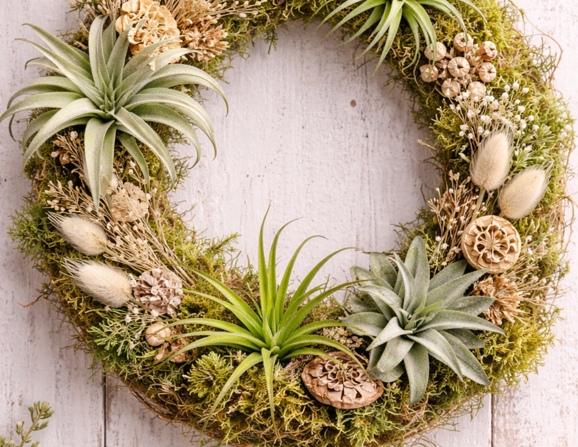 air plant wreath workshop in fishers