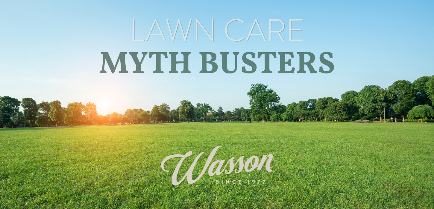 lawn care myth busting by wasson lawn care experts