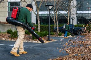 kress leaf blower