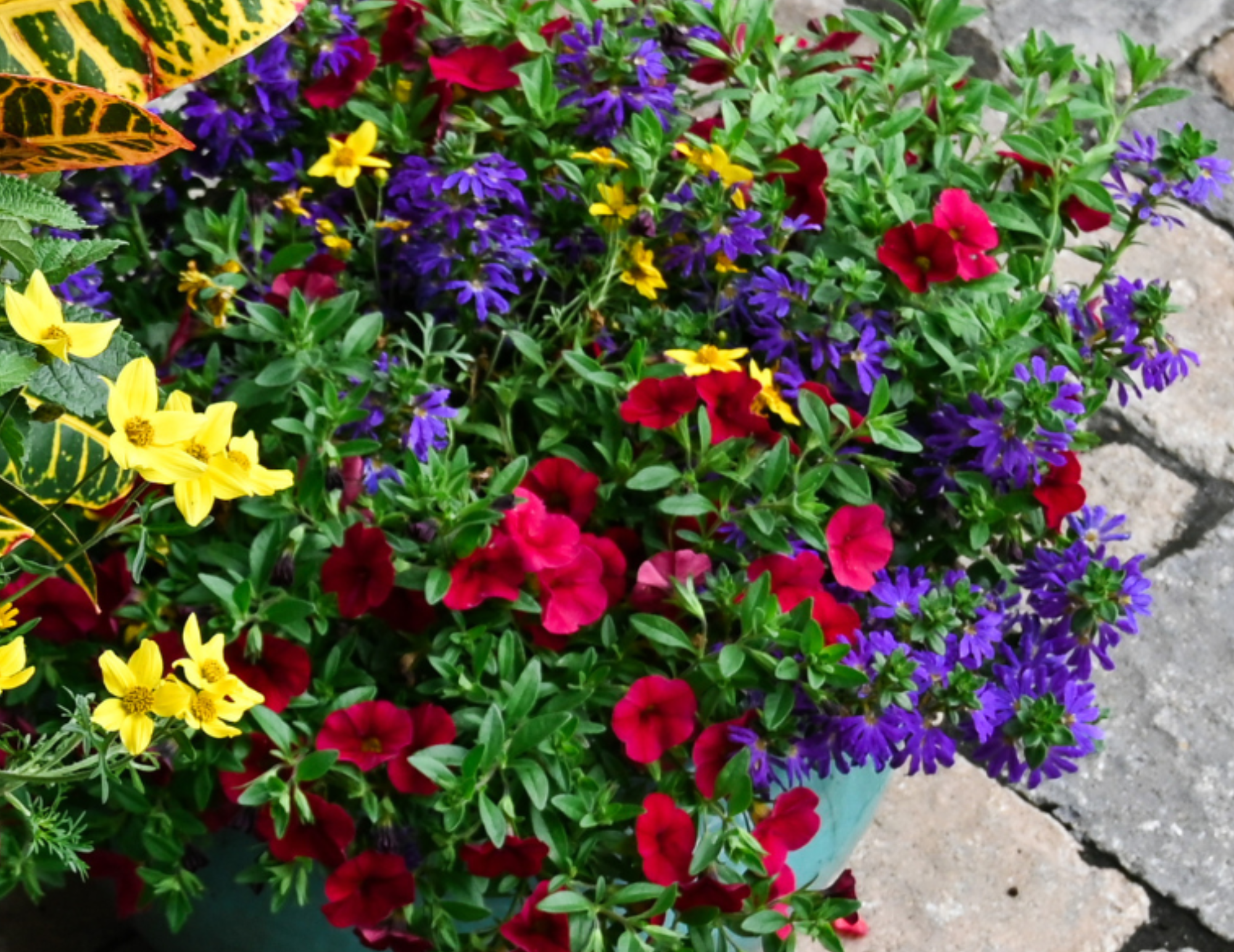 summer mini porch pot workshop in union city