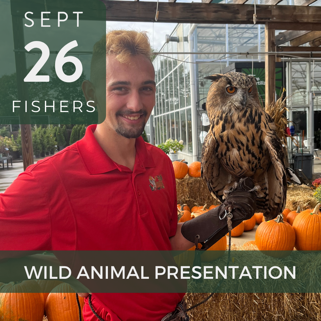 wild animal presentation at wasson