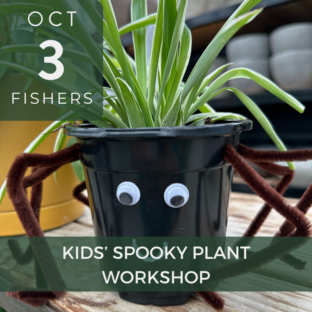 Kids free spooky plant workshop