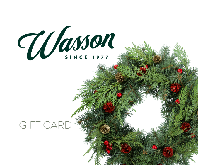 wasson gift card